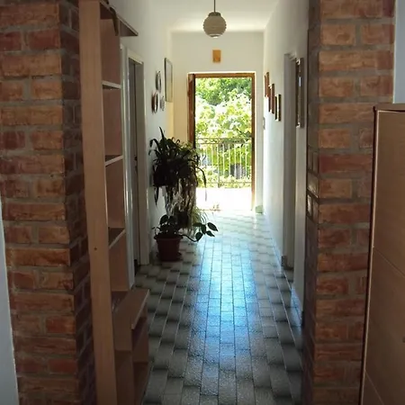 In With Terrace, Air Conditioning, Wifi Apartment Medulin